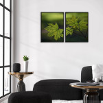 Gröna lönnlöv - Botanisk växtposter i två delar