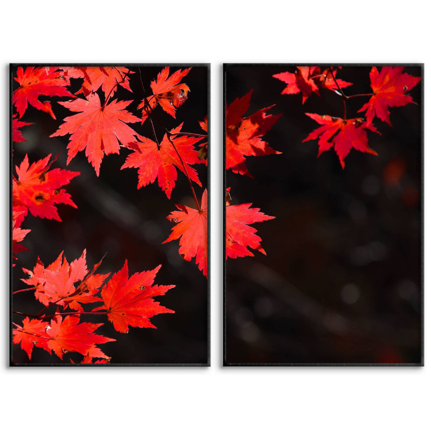 Red Leaves - Two Piece Poster