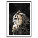 Uggla i Profil - Enkel & Snygg Plansch