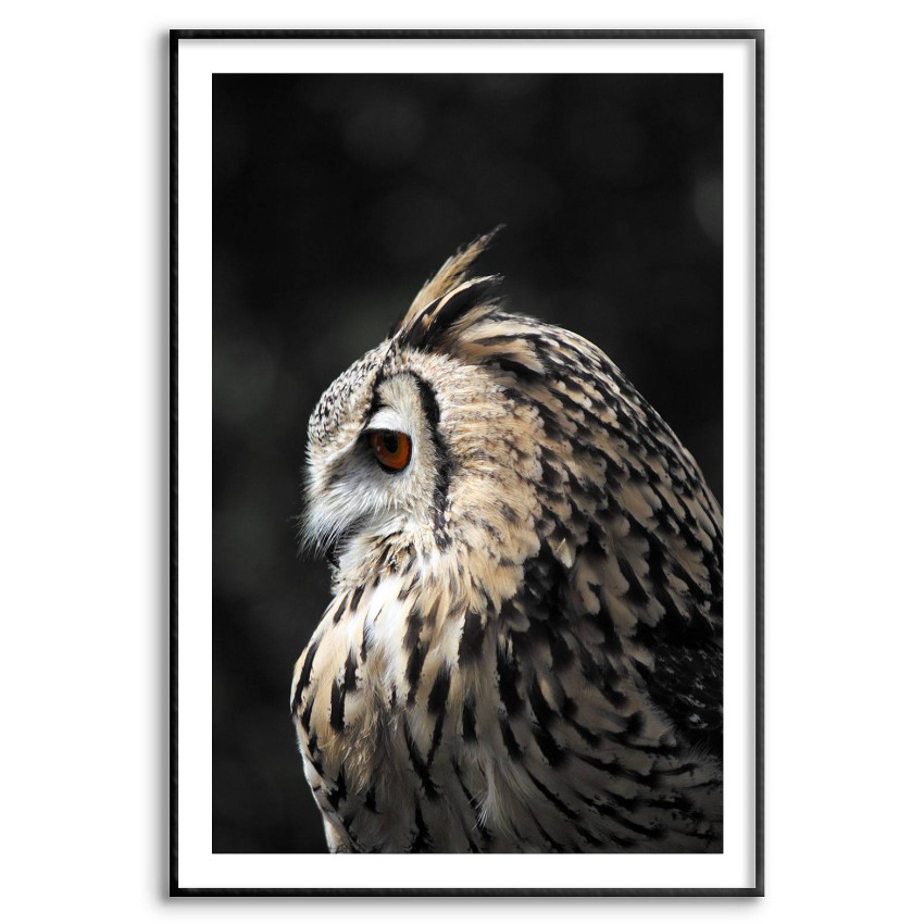 Uggla i Profil - Enkel & Snygg Plansch