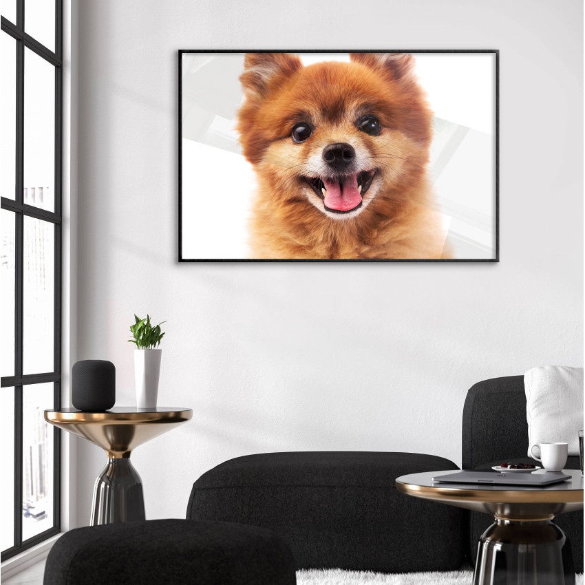 Söt hund - Enkel poster med vit bakgrund