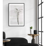 Simpel växtposter - Botanisk plansch