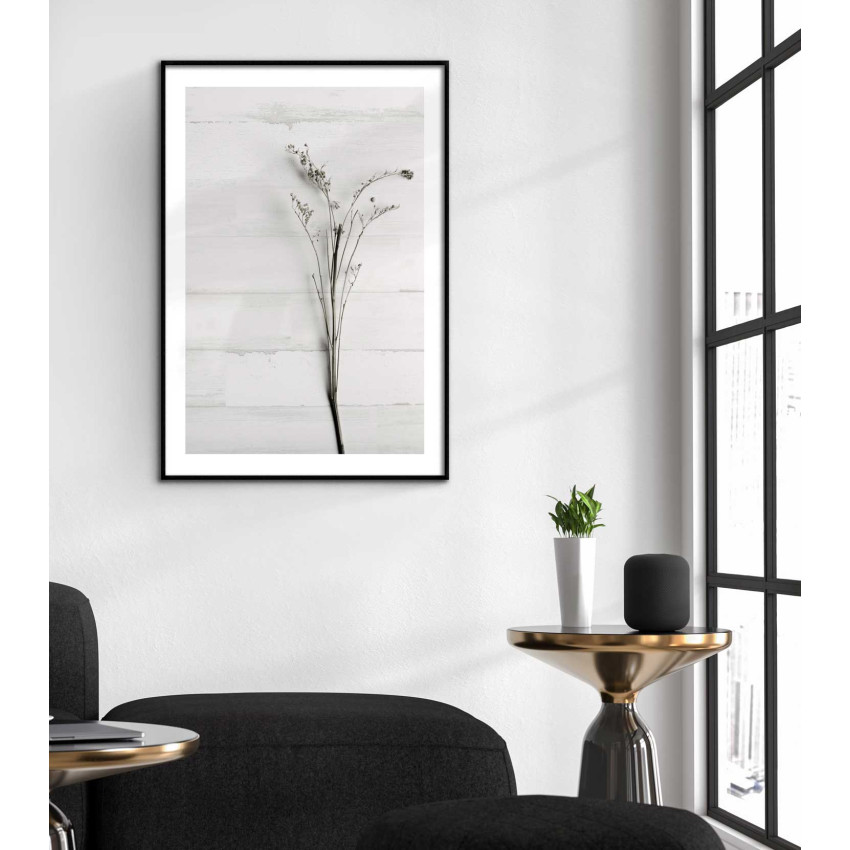 Simpel växtposter - Botanisk plansch