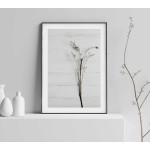 Simpel växtposter - Botanisk plansch