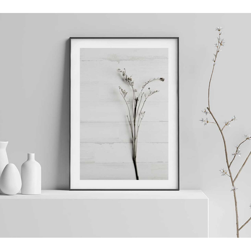 Simpel växtposter - Botanisk plansch