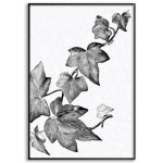 Enkla löv & grenar - Botanisk växtposter