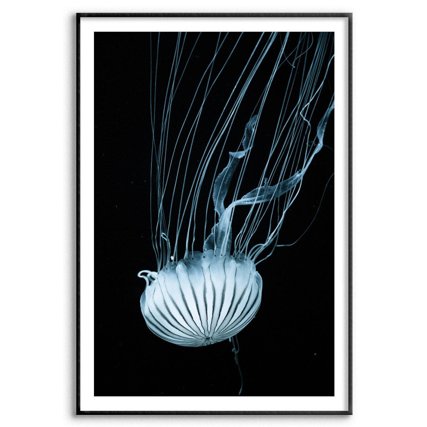 Manet jellyfish - Enkel & stilren poster