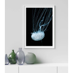 Manet jellyfish - Enkel & stilren poster