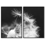 Abstract dandelion - Two piece black & white poster