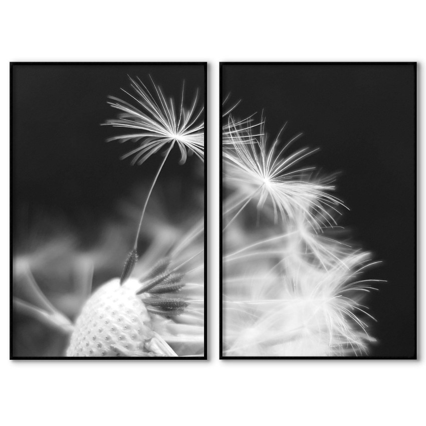 Abstract dandelion - Two piece black & white poster