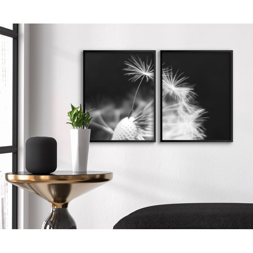 Abstract dandelion - Two piece black & white poster
