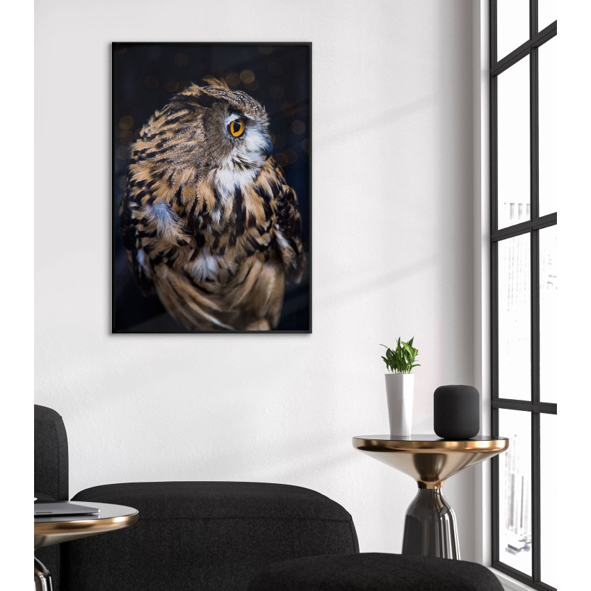 Uggla i närbild - Enkel poster