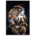 Uggla i närbild - Enkel poster