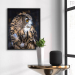 Uggla i närbild - Enkel poster