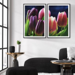 Tulpaner vattenmålning - Botanisk tavla i två delar