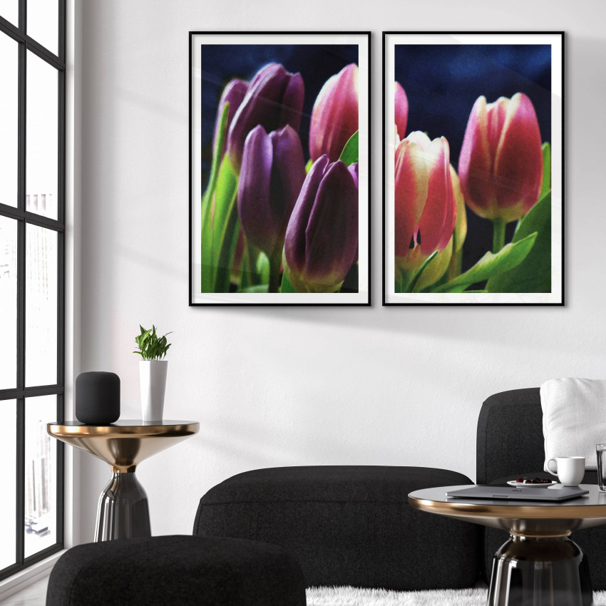 Tulpaner vattenmålning - Botanisk tavla i två delar