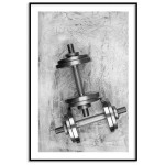 Hantlar - Trendig styrketräning plansch