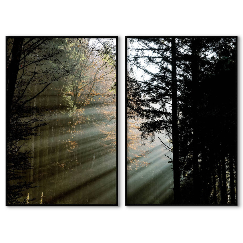 Tavla i två delar med skogsmotiv och solstrålar