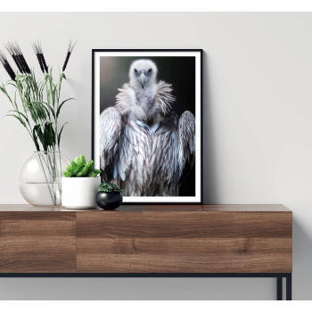 Gam fotografi - Svartvit poster med djurmotiv