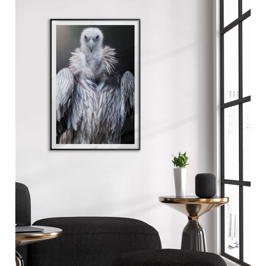 Vulture - Black and white poster