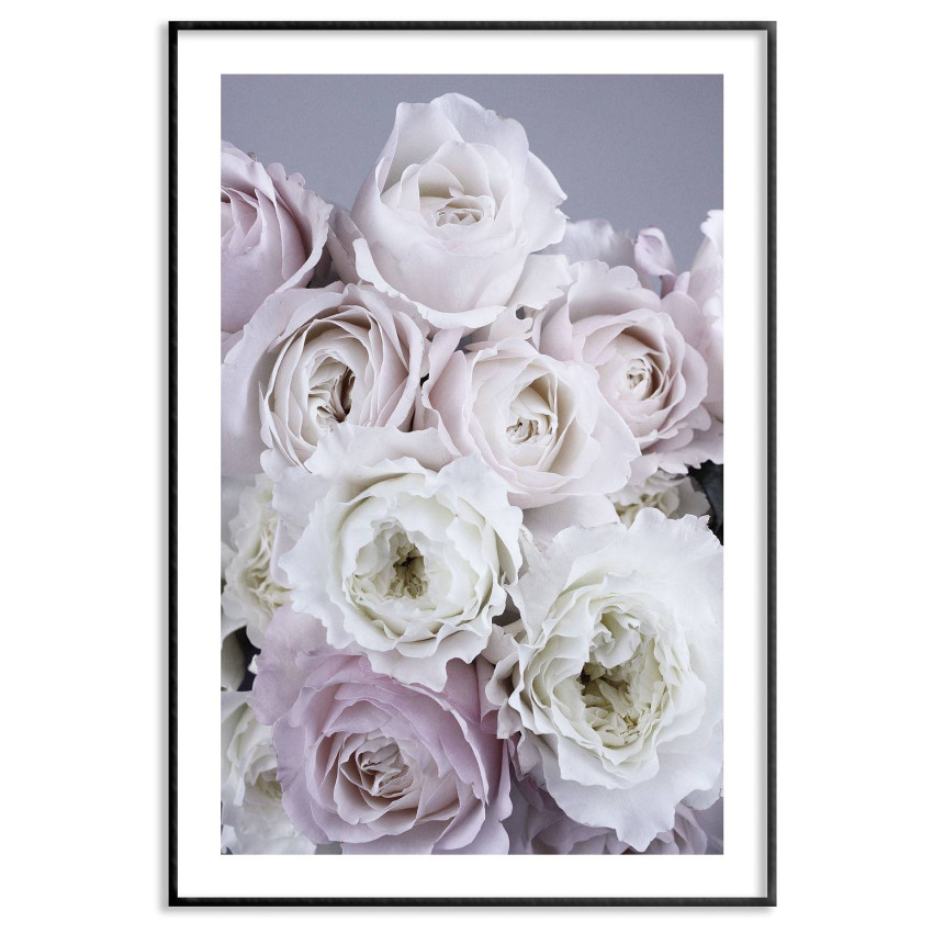 Ljusa ljuva rosor - Enkel poster