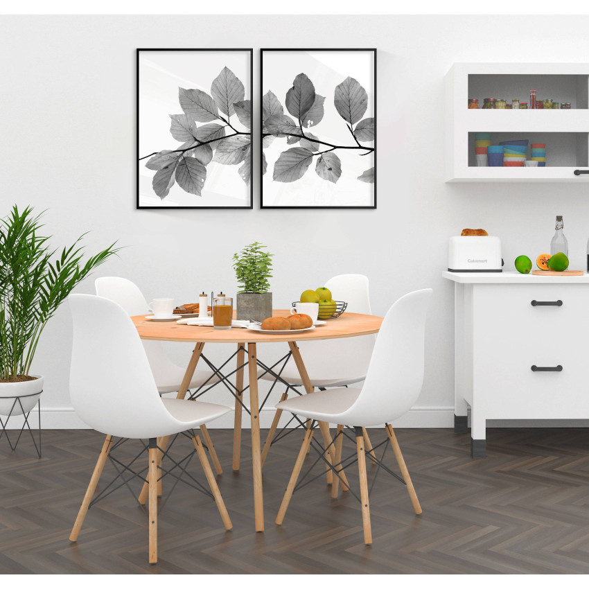 Löv med vit bakgrund - Botanisk växtposter