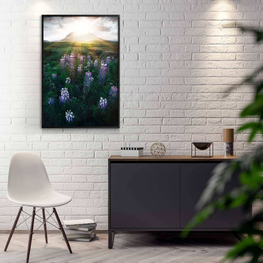 Poster - Äng av blommor i solnedgång