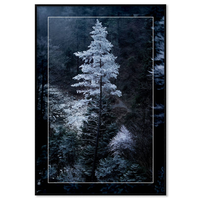 Enkel poster - Vackert och snötäckt träd