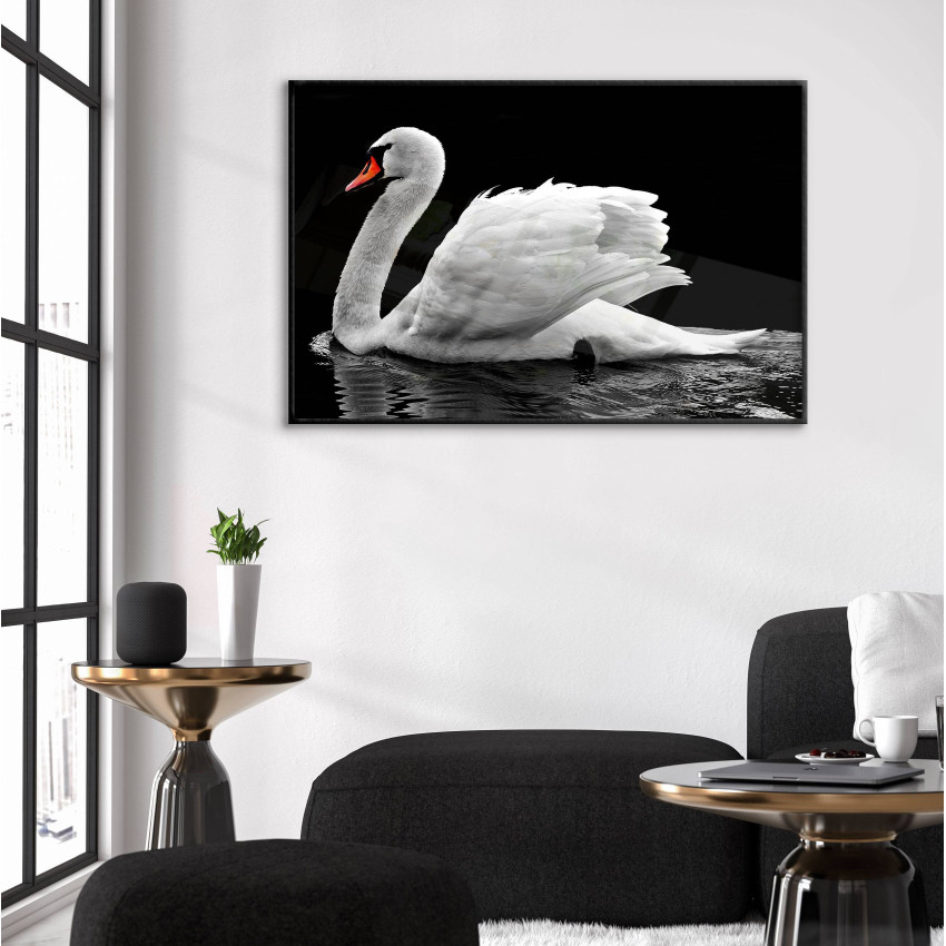 Swan in the dark - Simple Poster