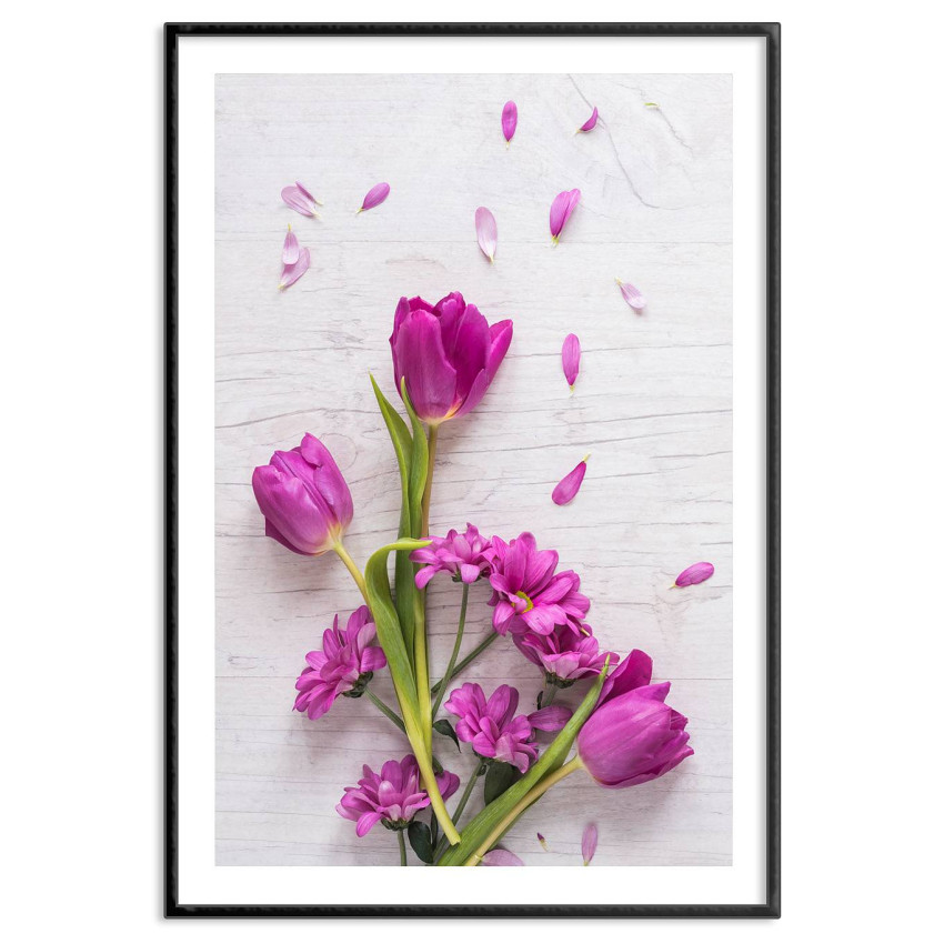 Lila blommor - Botanisk växtposter