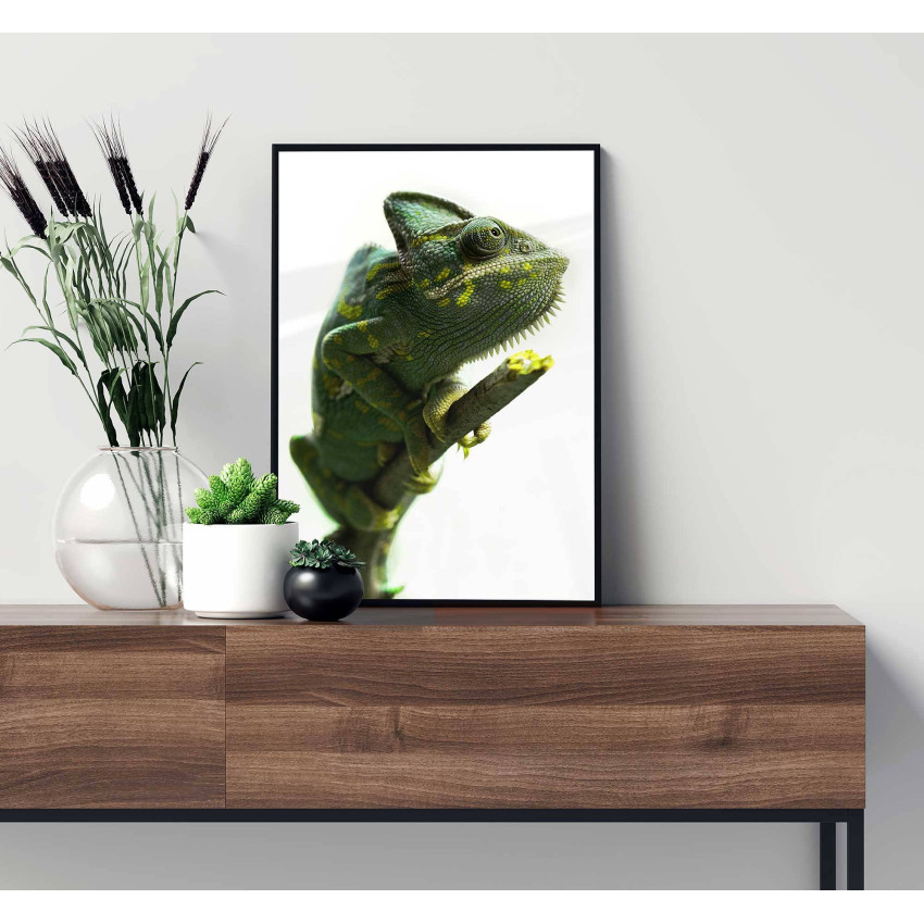 Chameleon - Simpel poster