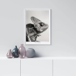 Chameleon - Simpel poster