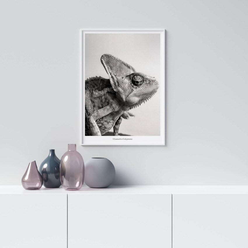 Chameleon - Simpel poster
