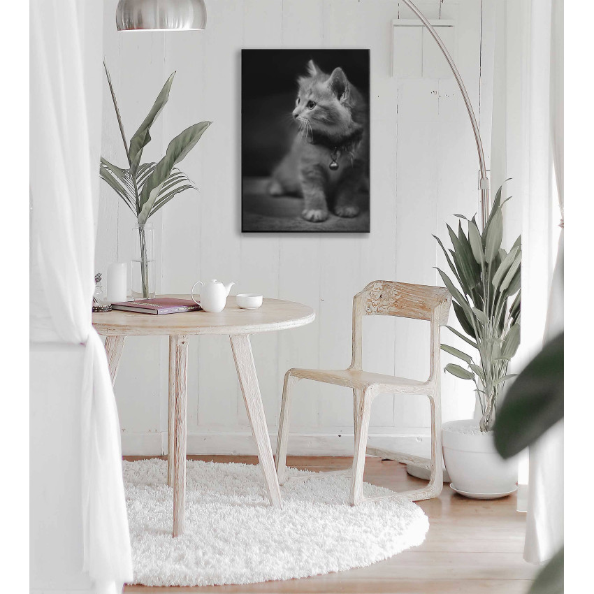 Söt kattunge - Svartvit poster