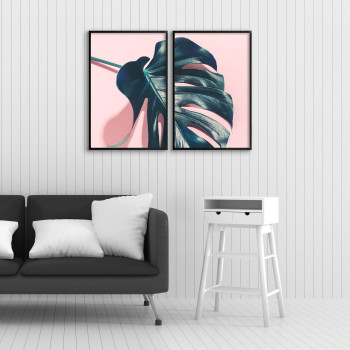 Monstera växt - Rosa växtposter