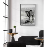 Camel in Egypt - Simple poster