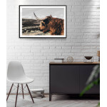 Buffalo Bison - Poster