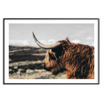 Buffalo Bison - Poster