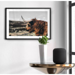 Buffalo Bison - Poster