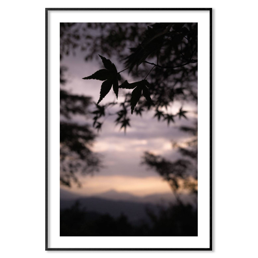 Träd och löv silhuett - Naturmotiv