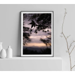 Träd och löv silhuett - Naturmotiv