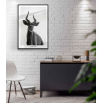 Nyala antilop - Simpel affisch i svartvitt