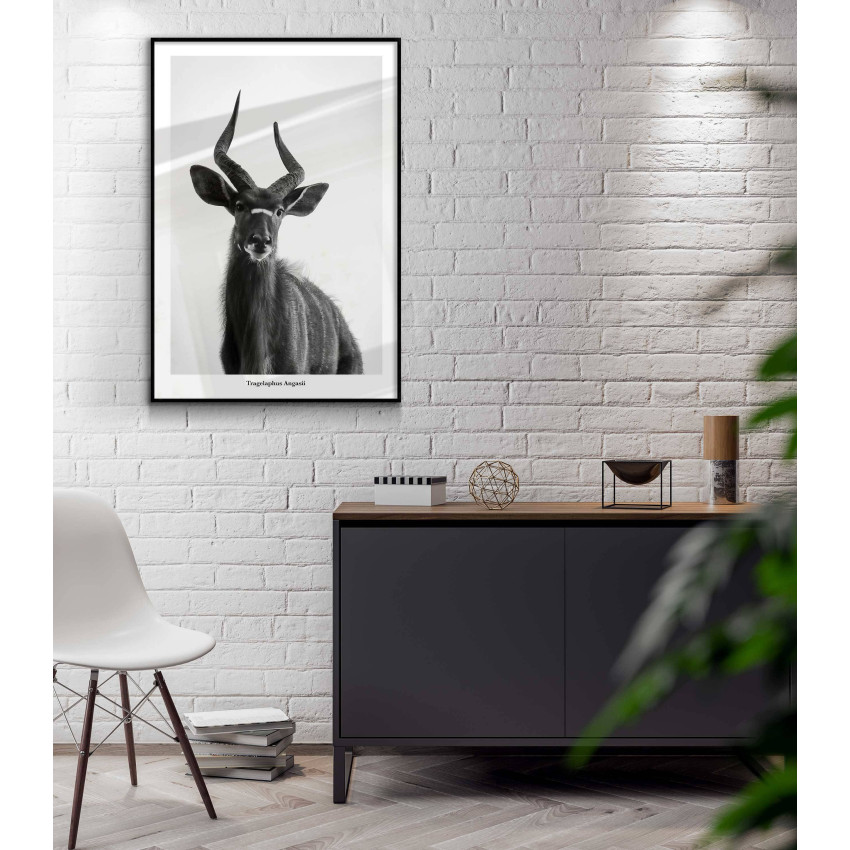 Nyala antilop - Simpel affisch i svartvitt