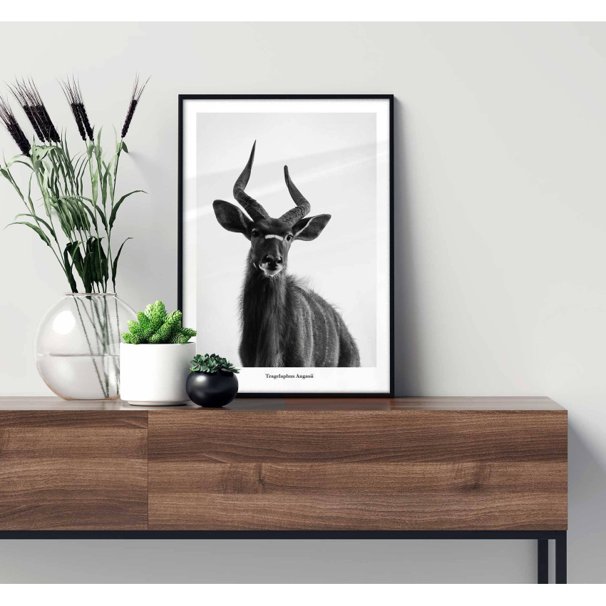 Nyala antilop - Simpel affisch i svartvitt
