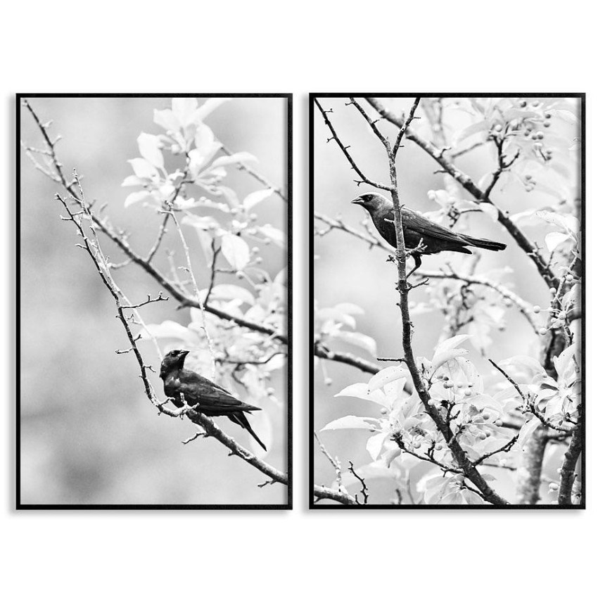 Små fåglar på grenar - Svartvit tvådelad tavla