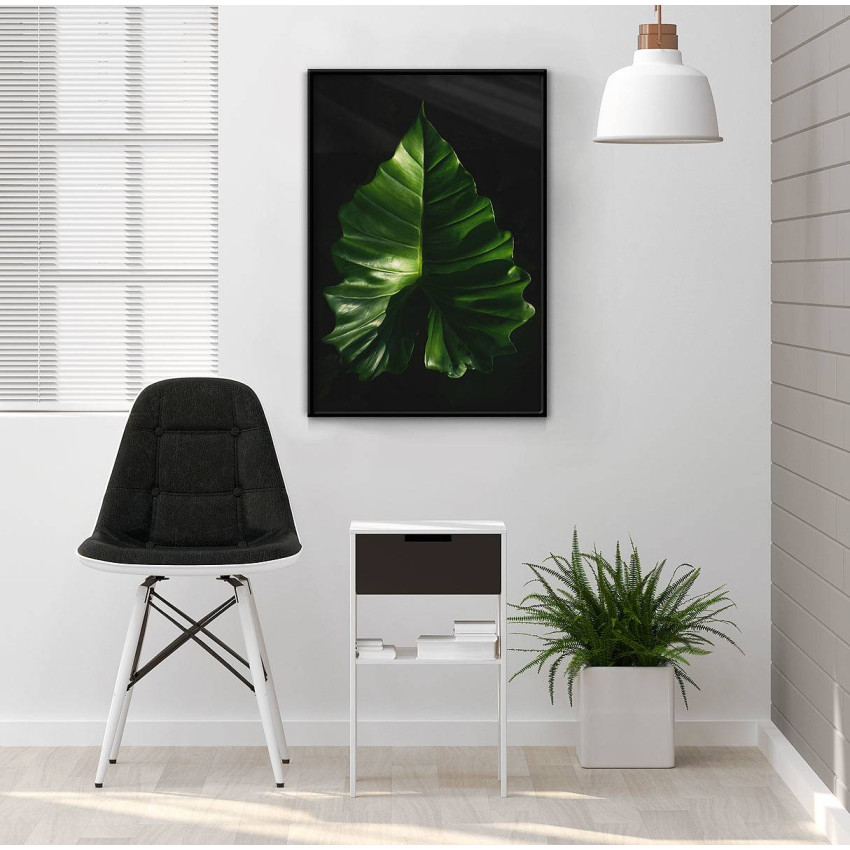 Caladium leaf - Simple botanical poster