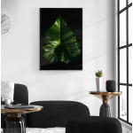 Caladium leaf - Simple botanical poster