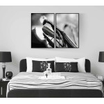 Bönsyrsa i närbild - Tvådelad svartvit tavla