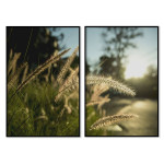 Wheat field - Poster in two pieces