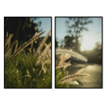 Vetefält - Harmonisk & uppdelad tavla